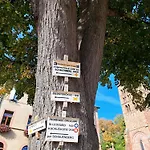 Grand Dans Maison Alsacienne Historique * Gueberschwihr