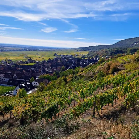 Grand Dans Maison Alsacienne Historique *