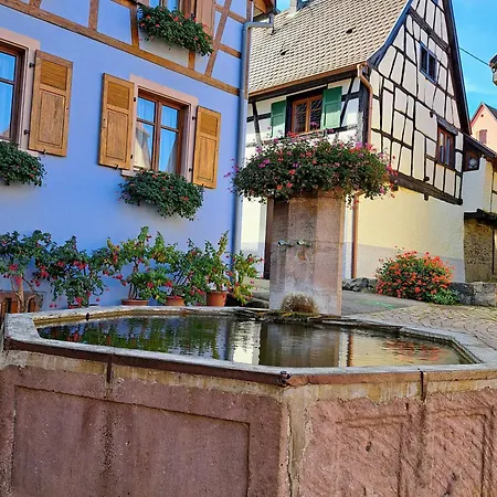 Grand Dans Maison Alsacienne Historique * Gueberschwihr